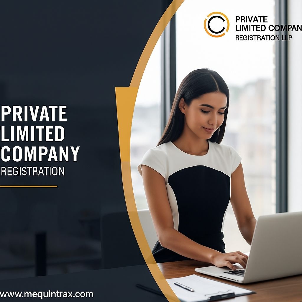 private limited company
